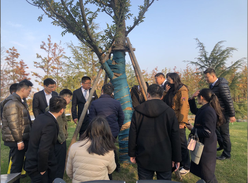 QQ圖片20201124160422.png QQ圖片20201124160422.png