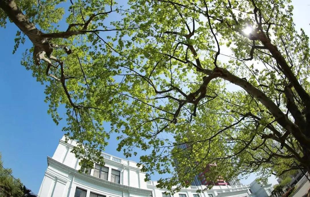 微信圖片_20211217091215.jpg 微信圖片_20211217091215.jpg